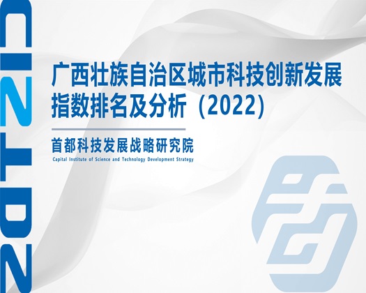 男人鸡巴操女人下面的视频【成果发布】广西壮族自治区城市科技创新发展指数排名及分析（2022）